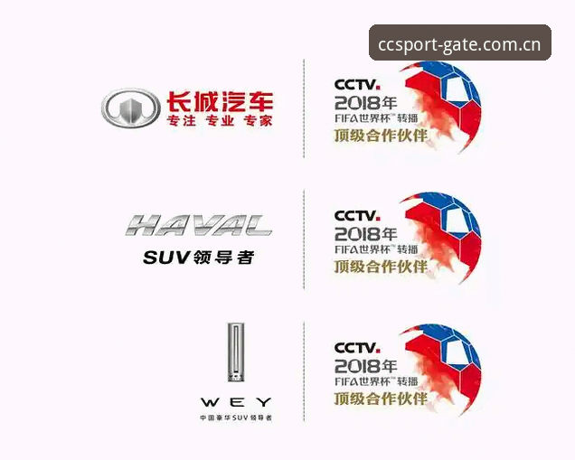 长城体育平台入口选择深度解析：CCSPORT推荐地址为何成为用户首选？