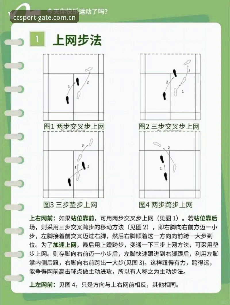长城体育平台入口获取教程：最新CCSPORT官方推荐操作指南