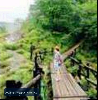 孙悦